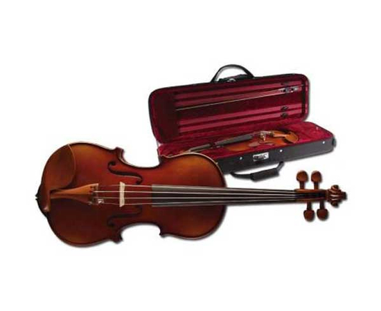 Скрипка 4/4 Stagg VN-4/4 XHG - 23050 за 0 грн. | 4Club